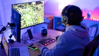 Person at a Gaming PC