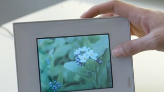 Caution With Digital Photo Frames–Some Are Insecure
