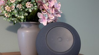 Echo Studio (2025) Review