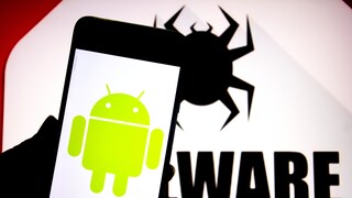 Smartphone with Android logo. Spider in the background.