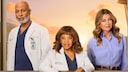 Artwork for "Grey's Anatomy"