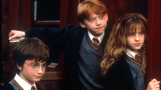 Harry, Ron, and Hermione from Harry Potter.