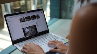 Person on a Laptop on Reddit