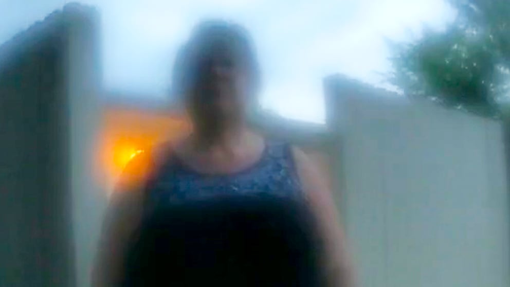 Scene from "The Perfect Neighbor" on Netflix