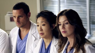 Excerpt from "Grey's Anatomy"
