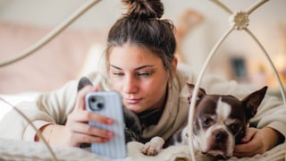 Woman Uses Smartphone to Check Her Dog for Ticks
