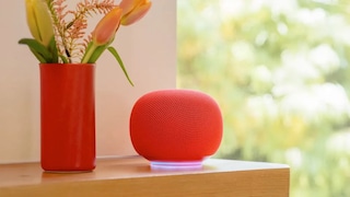 Google's New Home Speaker Features AI Gemini