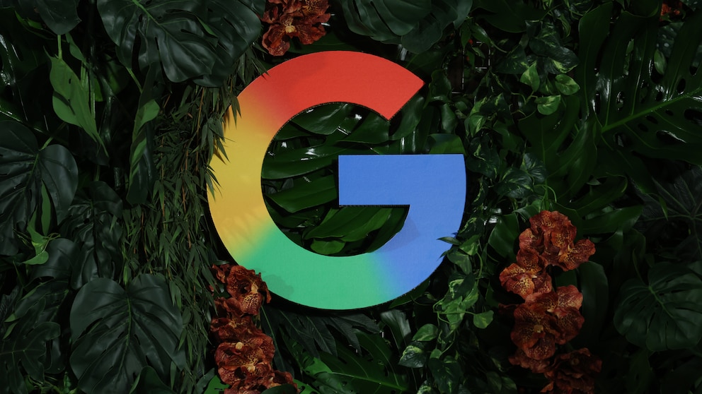 Google's logo, featuring the colors red, yellow, green, and blue, is set against a backdrop of large green leaves and several reddish-brown flowers. Positioned centrally in the image, the logo is surrounded by dense foliage. The photo highlights the logo against a dark background, creating a strong contrast between the logo's colors and the greenery of the plants.