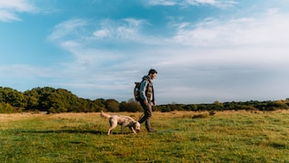 Walks in the park can quickly turn into a nightmare for dog owners.