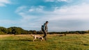 Walks in the park can quickly turn into a nightmare for dog owners.