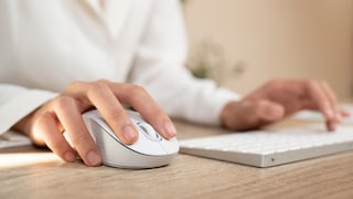 Person sits at the computer with a mouse and keyboard