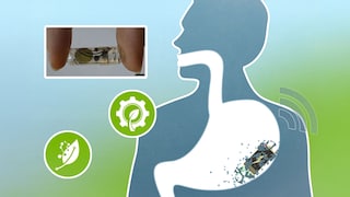 Illustration of a swallowable electronic capsule in the human digestive tract. A close-up shows the small transparent component between two fingers.