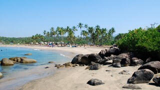Agonda