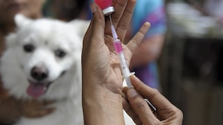 Rabies Vaccine