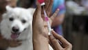 Rabies Vaccine