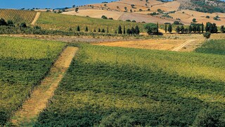 Maremma Tuscany Italy
