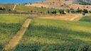 Maremma Tuscany Italy