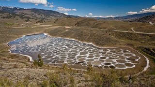 Spotted Lake in Canada
