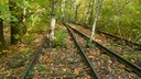 Long-distance trains used to run at the Schöneberg Südgelände.