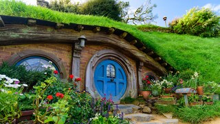 In the film adaptations of Tolkien's books, Hobbits live in such caves. In Matamata, the set is now a tourist attraction.