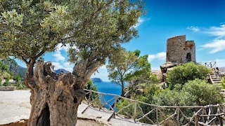 Mallorca hiking trail GR 221