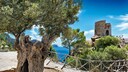 Mallorca hiking trail GR 221