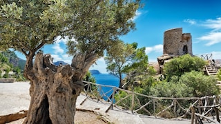 Mallorca hiking trail GR 221