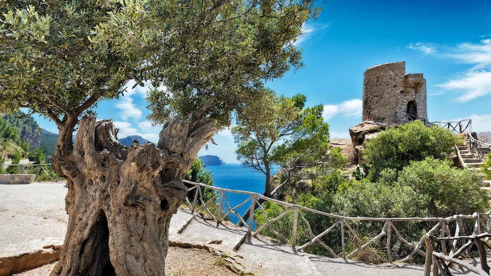 Mallorca hiking trail GR 221