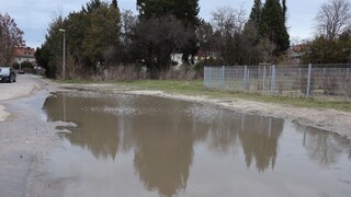 Puddle in Berlin Becomes an Attraction