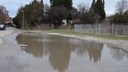 Puddle in Berlin Becomes an Attraction