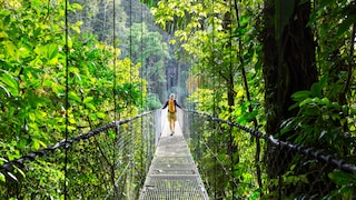 Jungle in Costa Rica