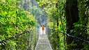 Jungle in Costa Rica
