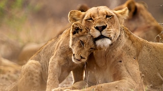 Kruger National Park