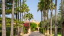 Hotel Posada d'es Molí, Filming Location for Season 5 of "First Dates Hotel"