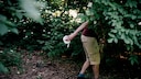 Forest Big Business