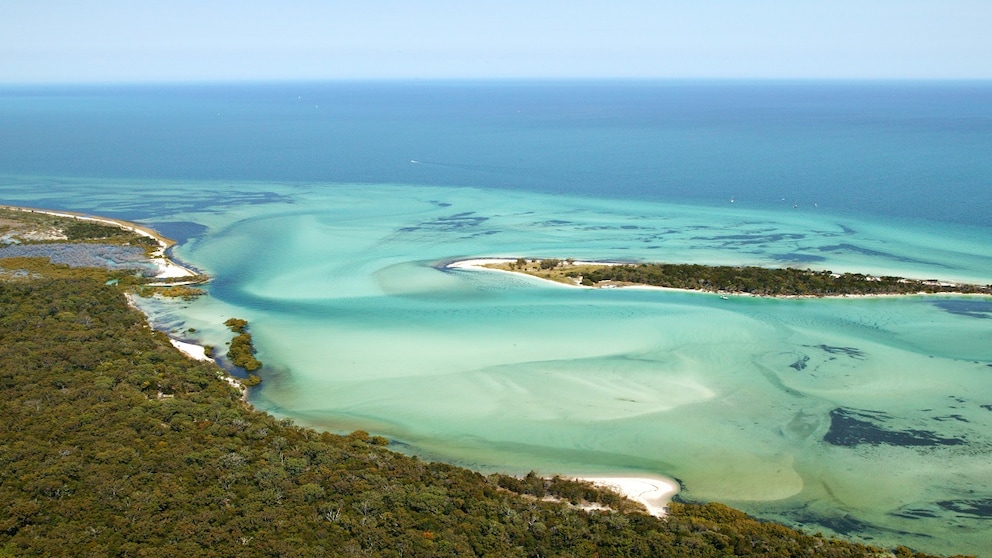 K'gari beach