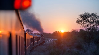 Pride of Africa Rovos Rail