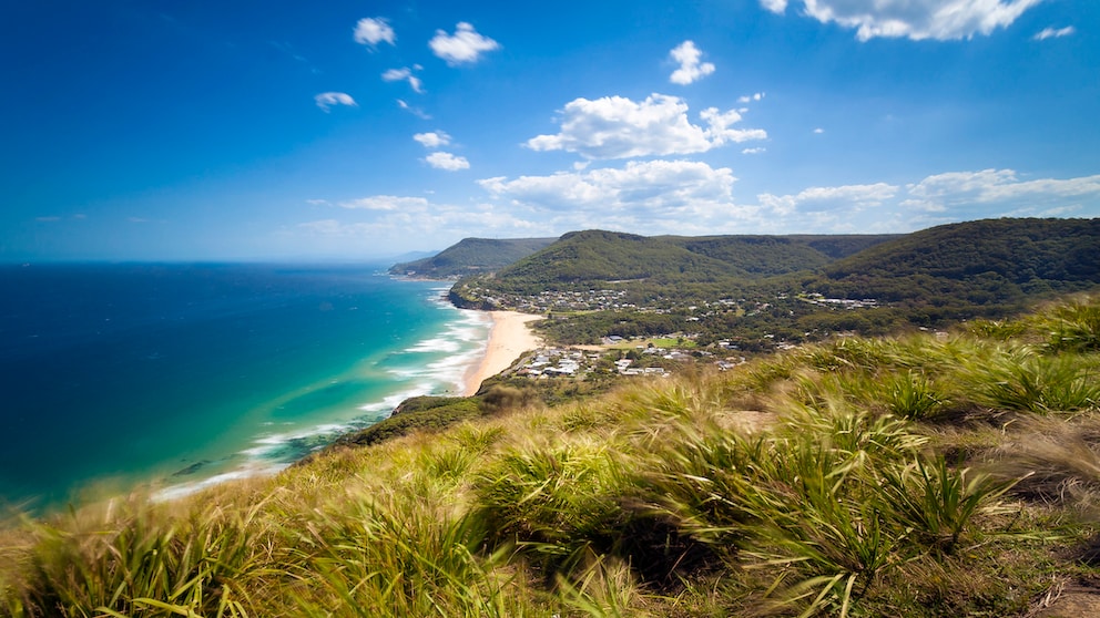 At last, the jungle camp's filming location is back where it belongs: in Australia. More precisely, in the very north of the state of New South Wales, almost on the border with Queensland.