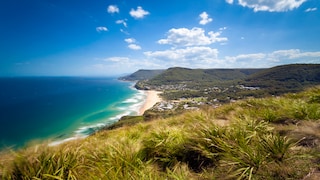 At last, the jungle camp's filming location is back where it belongs: in Australia. More precisely, in the very north of the state of New South Wales, almost on the border with Queensland.