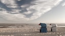 The fauna of the Wadden Sea can also be explored on Föhr in winter on extended hikes.