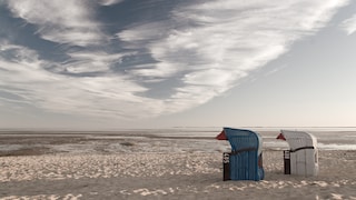 The fauna of the Wadden Sea can also be explored on Föhr in winter on extended hikes.