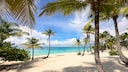Coconut Palm Beach in Isla Catalina in the Dominican Republic