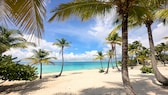 Coconut Palm Beach in Isla Catalina in the Dominican Republic