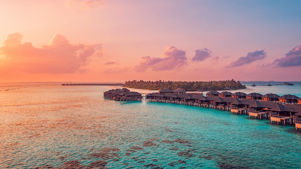 The Maldives is one of the most beautiful diving destinations in the world