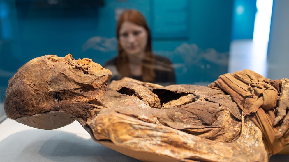 Mummies exhibition