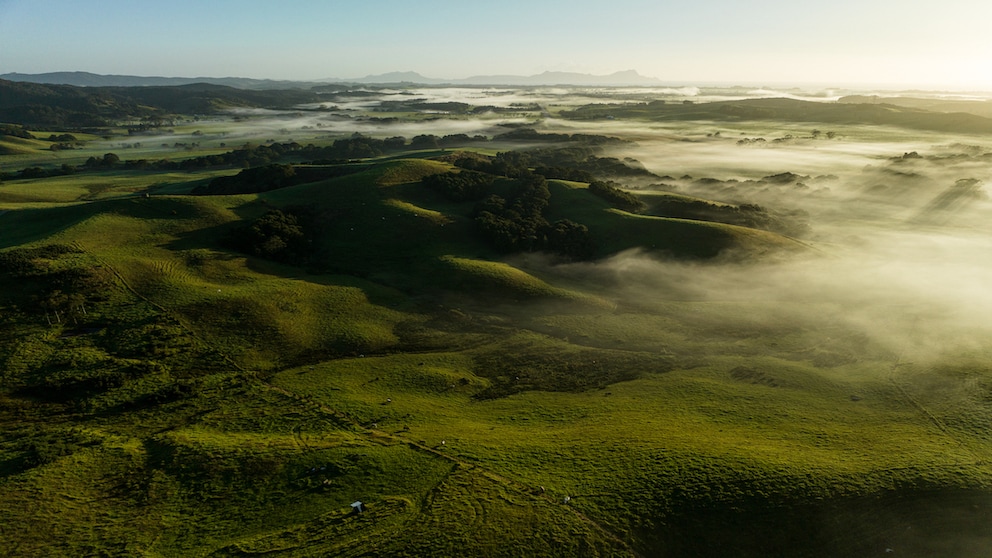 Some places are so strange that you feel a bit like Alice in Wonderland.