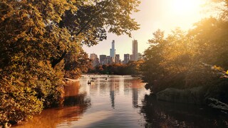 Despite all the hustle and bustle of the metropolis - New York also has a romantic side