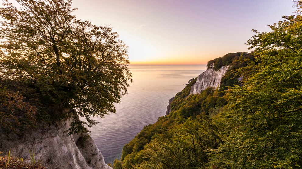 Vacation tips in Germany: chalk cliffs on Rügen