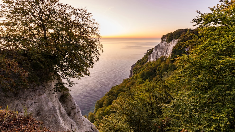 Vacation tips in Germany: chalk cliffs on Rügen