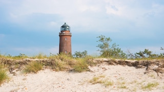 Windswept trees, gnarled branches and an often deserted beach: in autumn and winter, the Fischland-Darss-Zingst peninsula has a charm all of its own